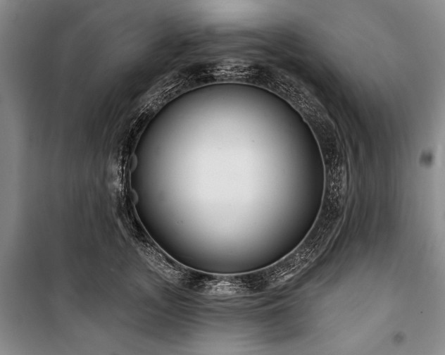 X0000101140755200806270919