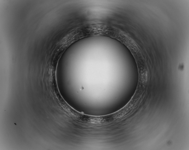 X0000101140757200806270919