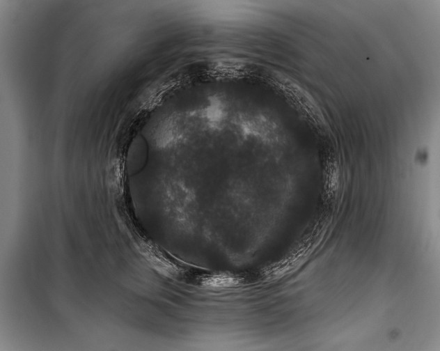 X0000101140759200806270919