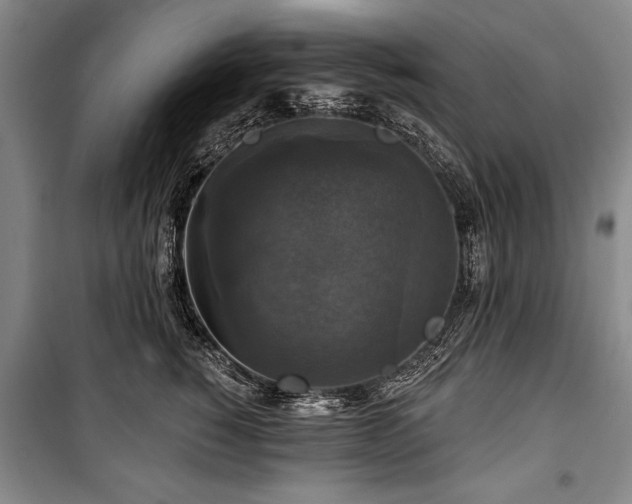 X0000101140760200806270919