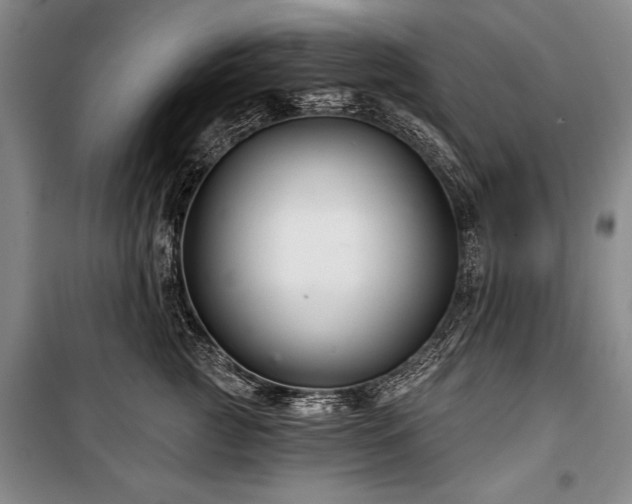 X0000101140761200806270919