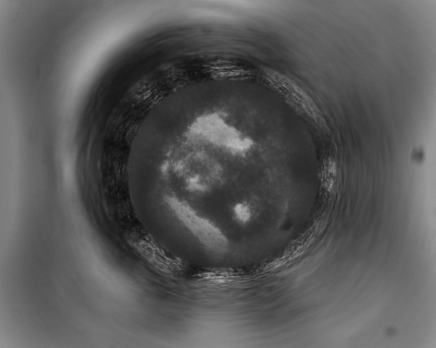 X0000101140763200806270919