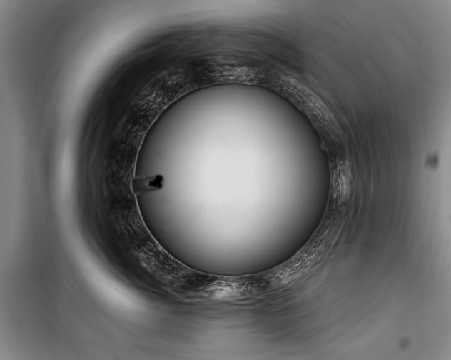 X0000101140764200806270919