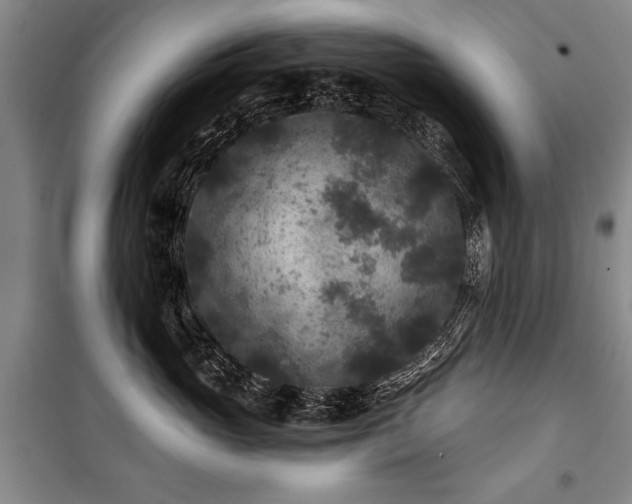 X0000101140765200806270919