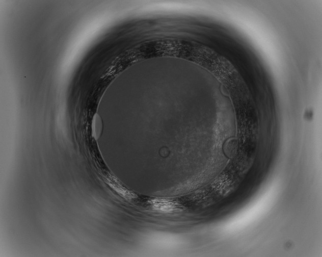 X0000101140766200806270919