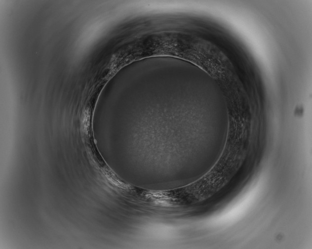 X0000101140767200806270919