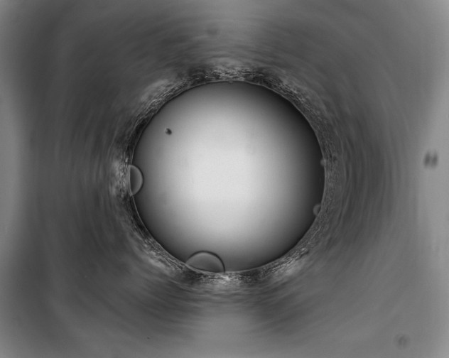 X0000101140768200806270919