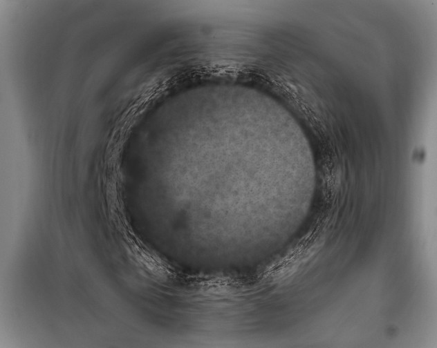 X0000101140769200806270919