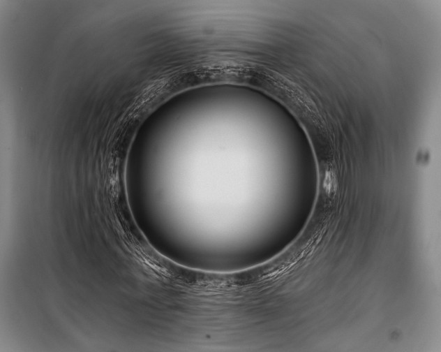 X0000101140771200806270919