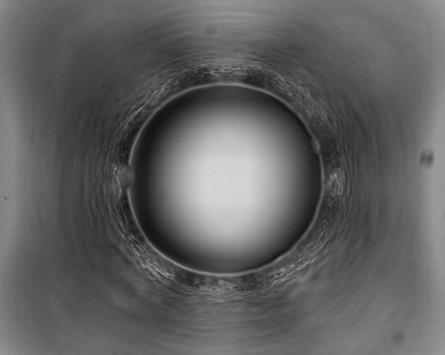 X0000101140772200806270919