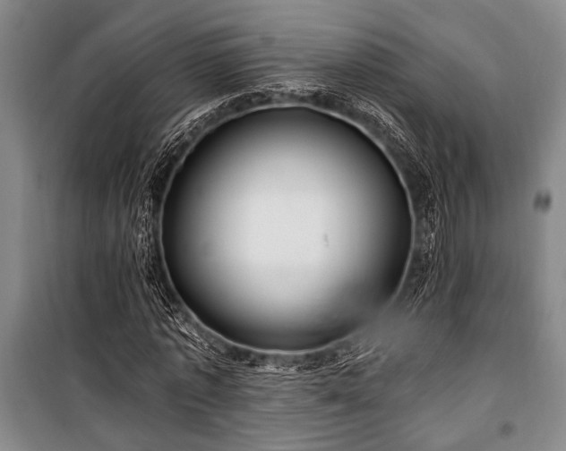 X0000101140773200806270919