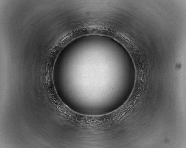 X0000101140774200806270919