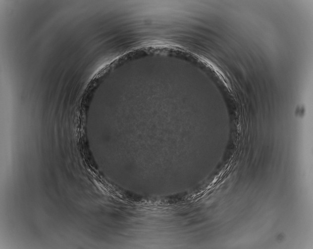 X0000101140775200806270919