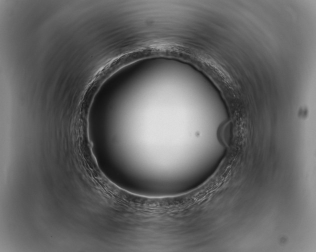 X0000101140776200806270918