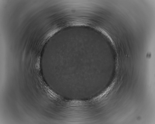 X0000101140777200806270918