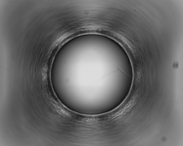 X0000101140778200806270918