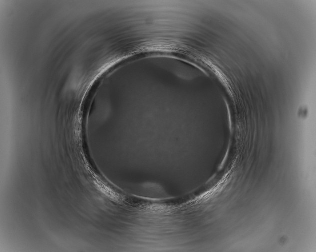 X0000101140779200806270918