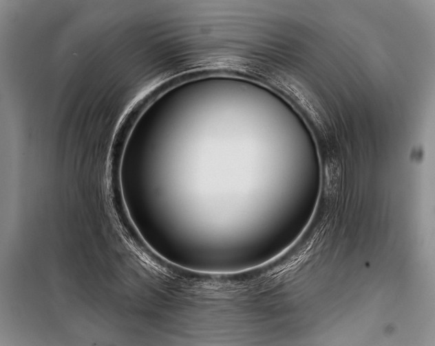 X0000101140780200806270918