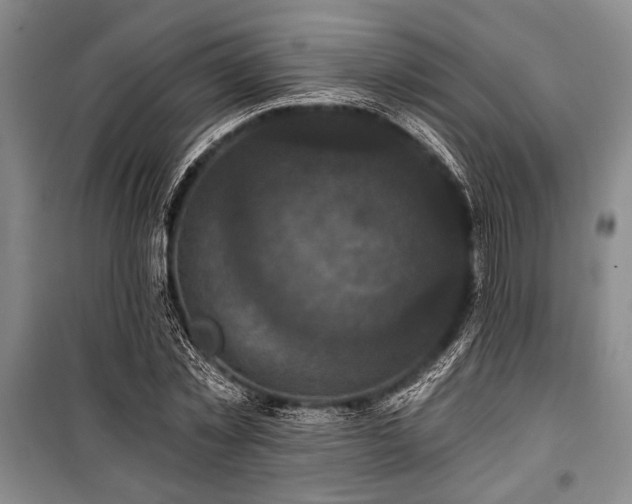 X0000101140781200806270918