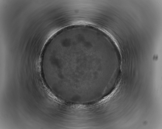 X0000101140783200806270918