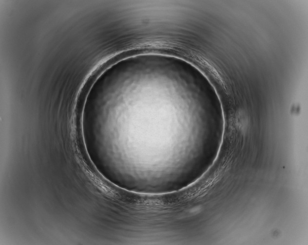 X0000101140784200806270918