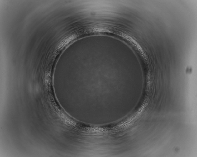 X0000101140785200806270918