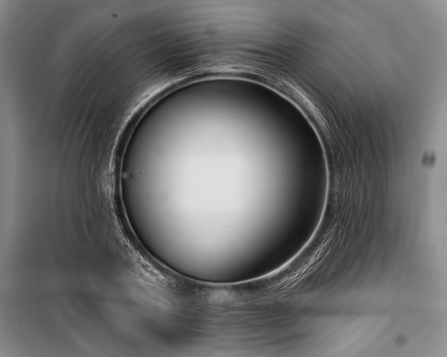 X0000101140787200806270918