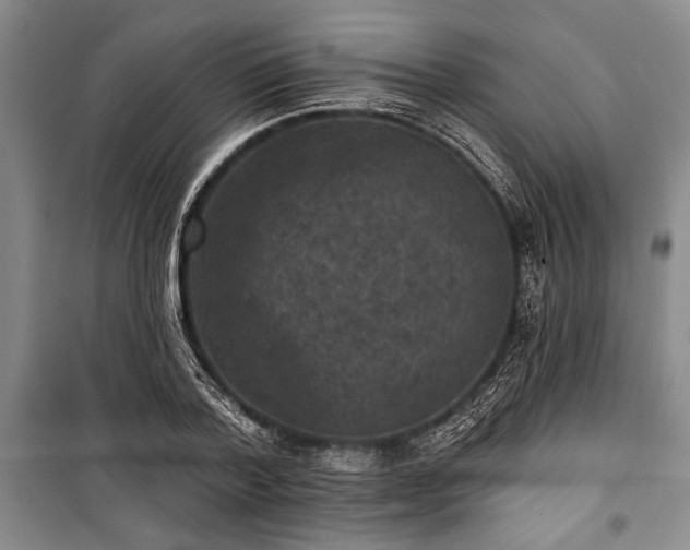 X0000101140788200806270918