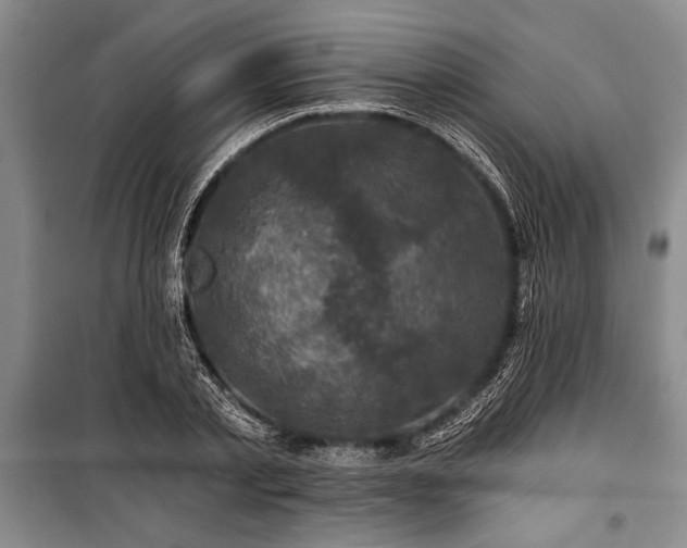 X0000101140789200806270918