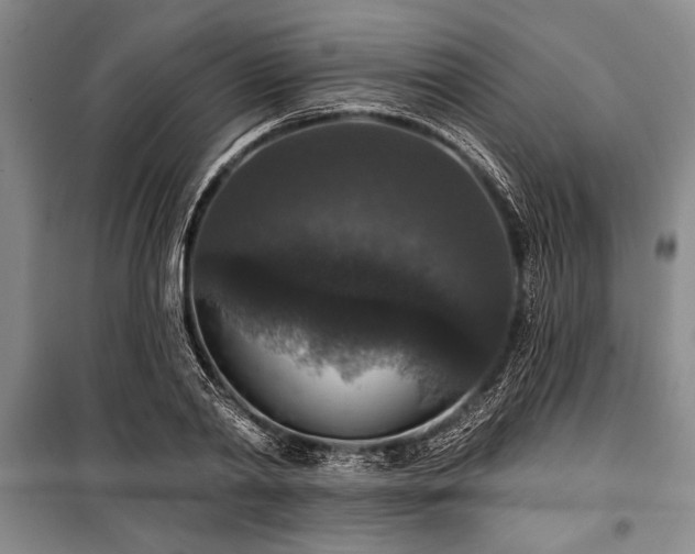 X0000101140790200806270918