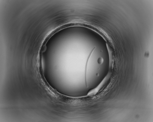 X0000101140791200806270918