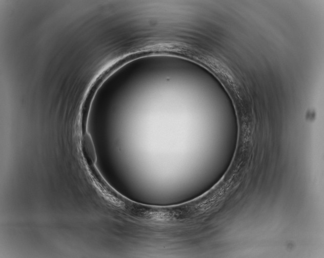 X0000101140792200806270918