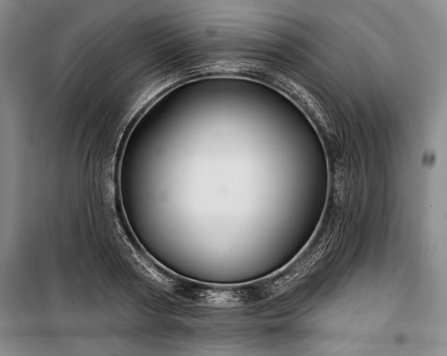 X0000101140794200806270918