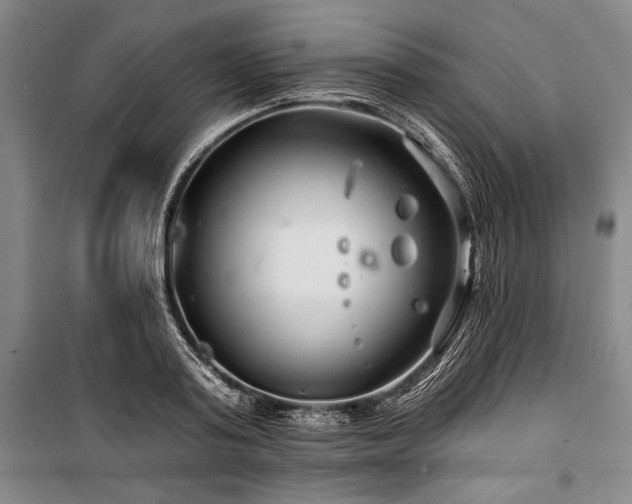 X0000101140795200806270918