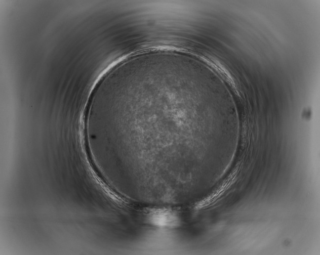 X0000101140798200806270918