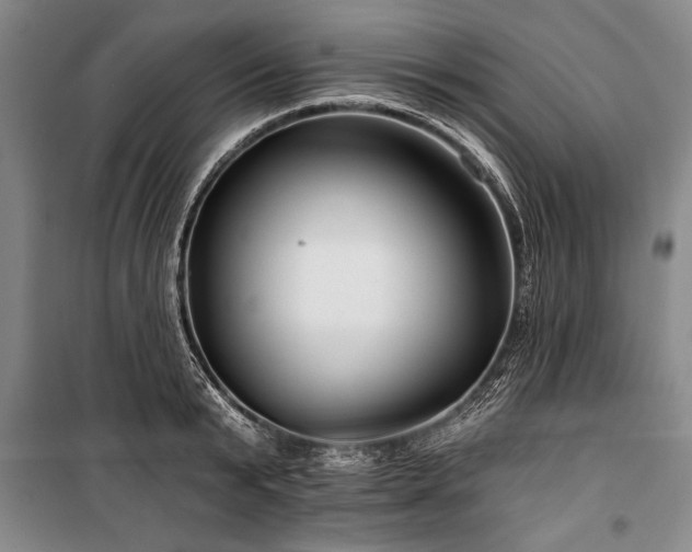 X0000101140799200806270918