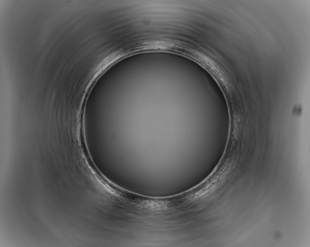 X0000101140802200806270918