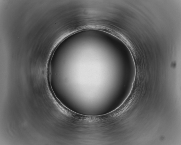 X0000101140803200806270918