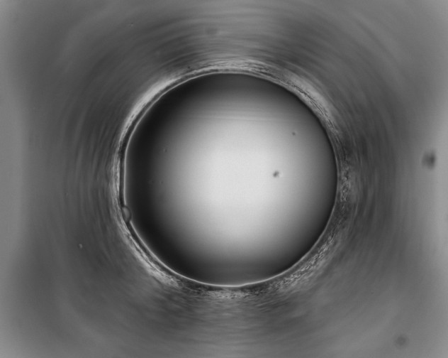 X0000101140804200806270918