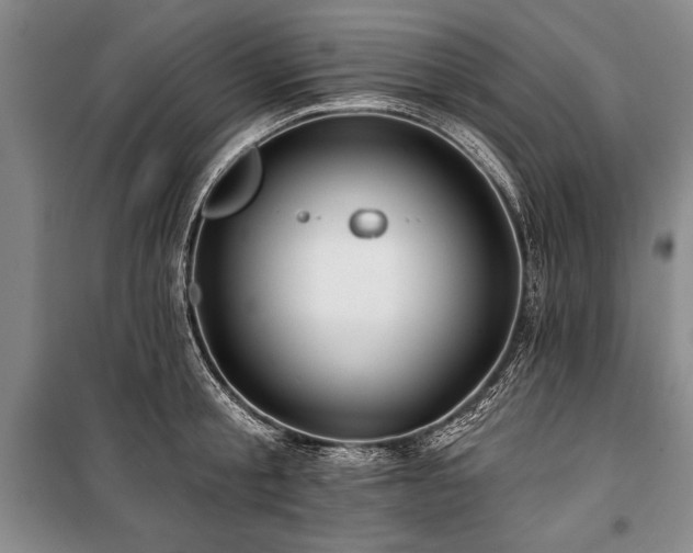 X0000101140805200806270918