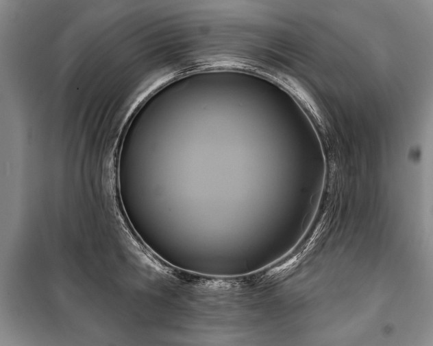 X0000101140806200806270918