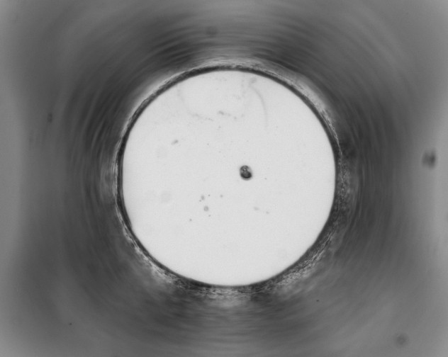 X0000101140807200806270918