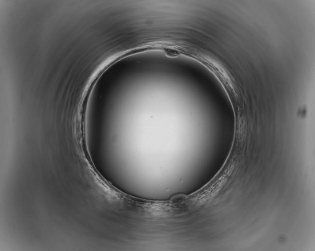 X0000101140808200806270918