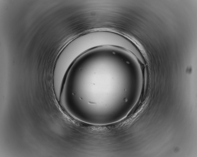 X0000101140809200806270918