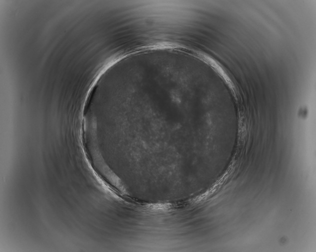 X0000101140810200806270918