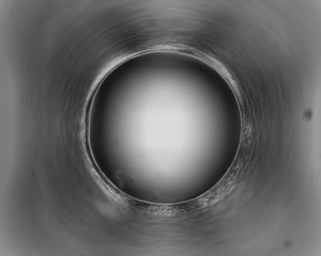 X0000101140811200806270918