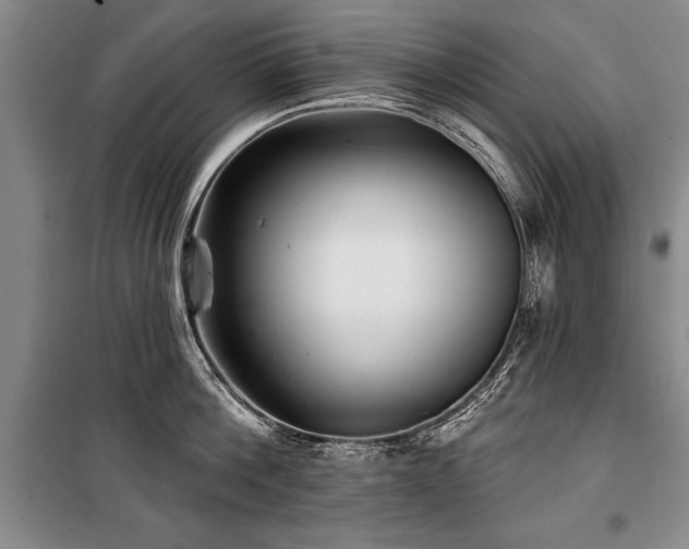 X0000101140812200806270918