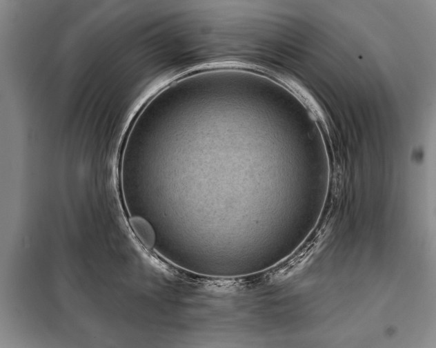 X0000101140813200806270918