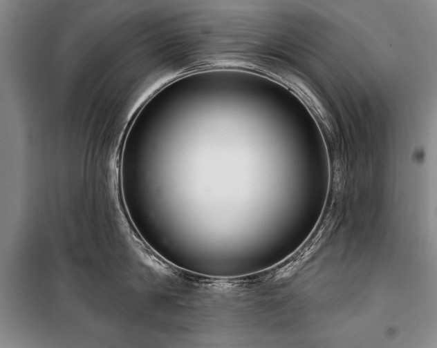 X0000101140814200806270918