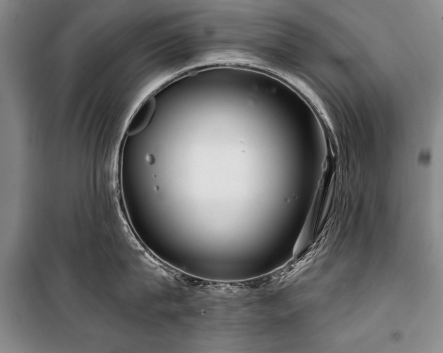 X0000101140815200806270918